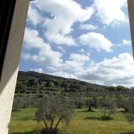 Agriturismo Il Vecchio Imposto Villa Massa Marittima Exteriör bild