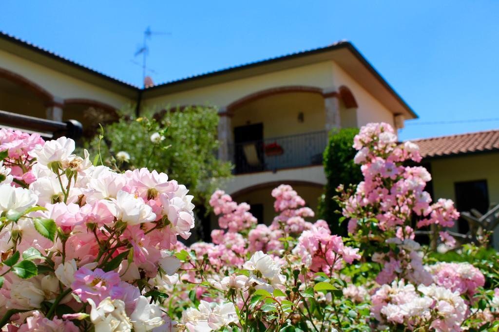 Agriturismo Il Vecchio Imposto Villa Massa Marittima Exteriör bild