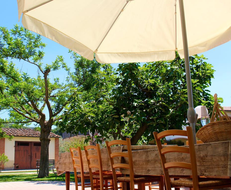 Agriturismo Il Vecchio Imposto Villa Massa Marittima Exteriör bild